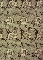Diseño 